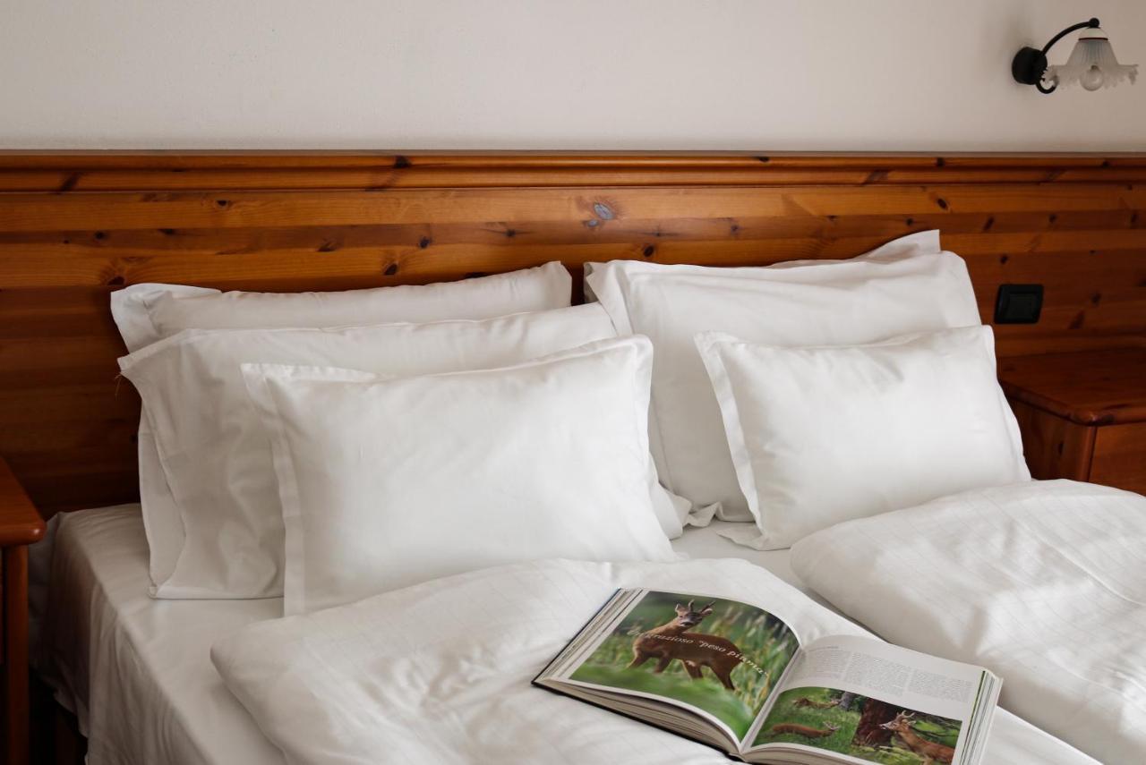 Hotel Garni Civetta Selva di Cadore Zewnętrze zdjęcie